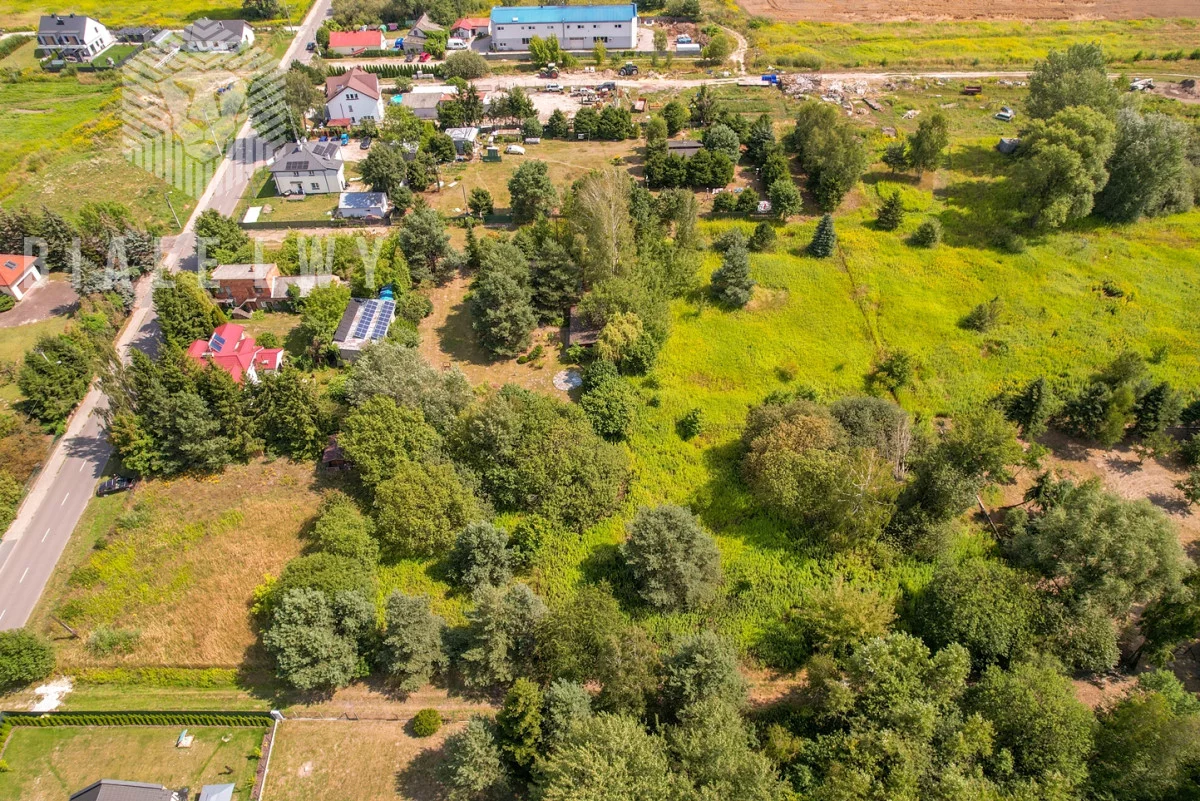 BLN229182 - zdjęcie nr 2