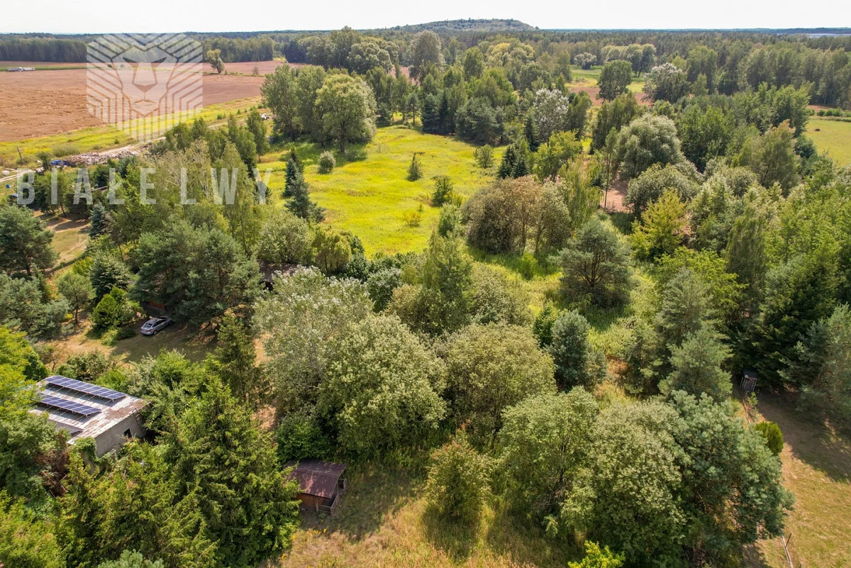 BLN229182 - zdjęcie nr 4