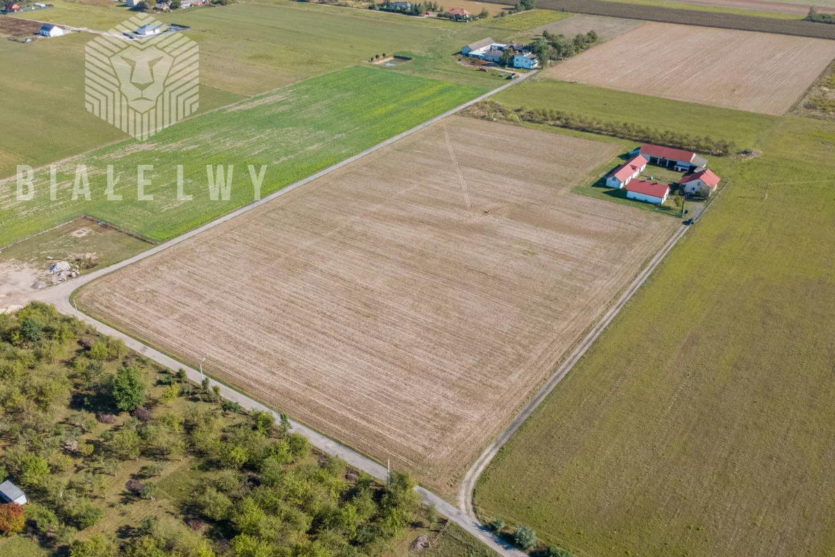 Działka 1 000,00 m², oferta nr , BLN101175, Prażmów, Kołczatki