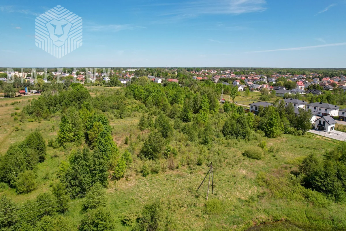 BLN428922 - zdjęcie nr 2