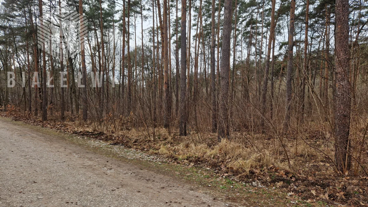 Działka 2 500,00 m², oferta nr , BLN500322, Łomianki, Leśnych Dębów
