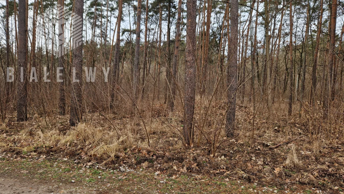 Działka 5 200,00 m², oferta nr , BLN753437, Łomianki, Leśnych Dębów