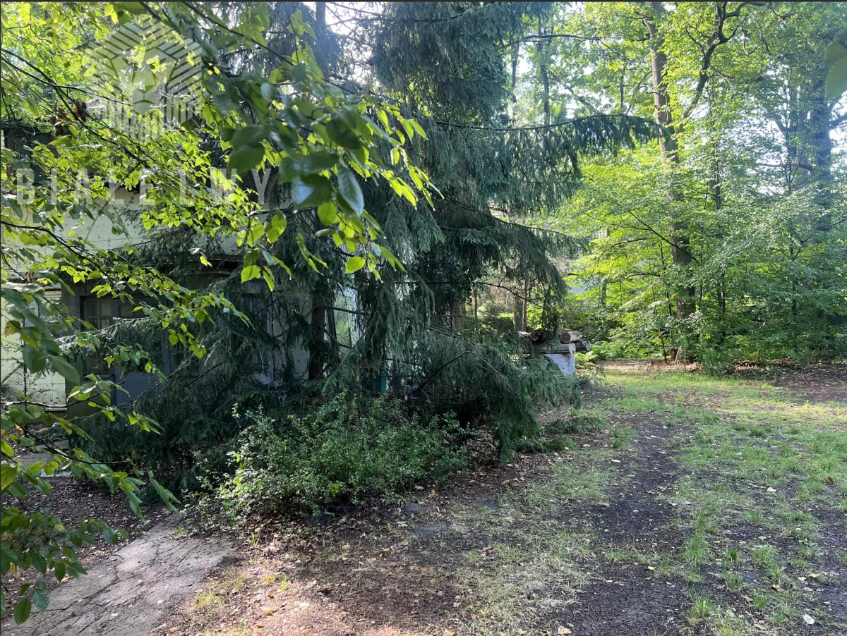 Apartamenty BLN189696 Magdalenka