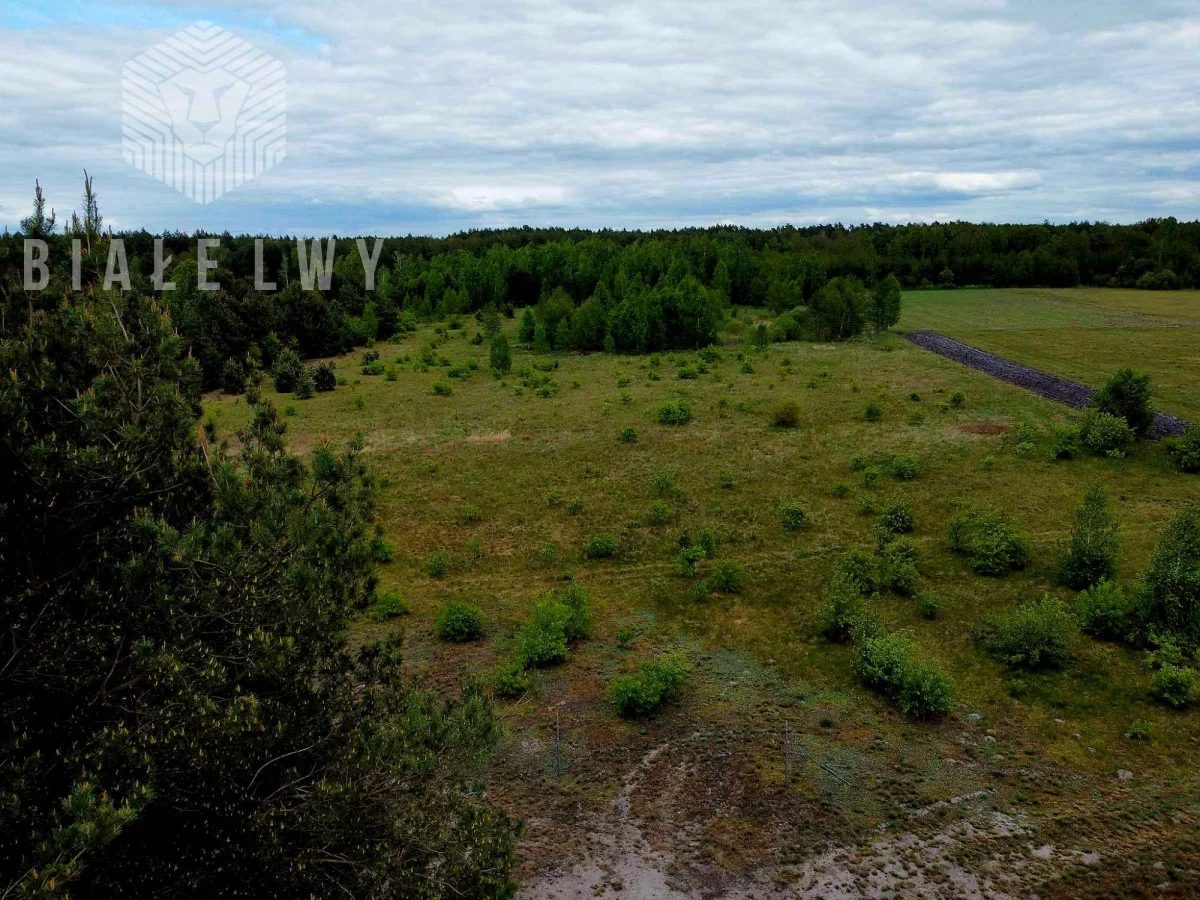 Apartamenty BLN561719 Nowe Borsuki