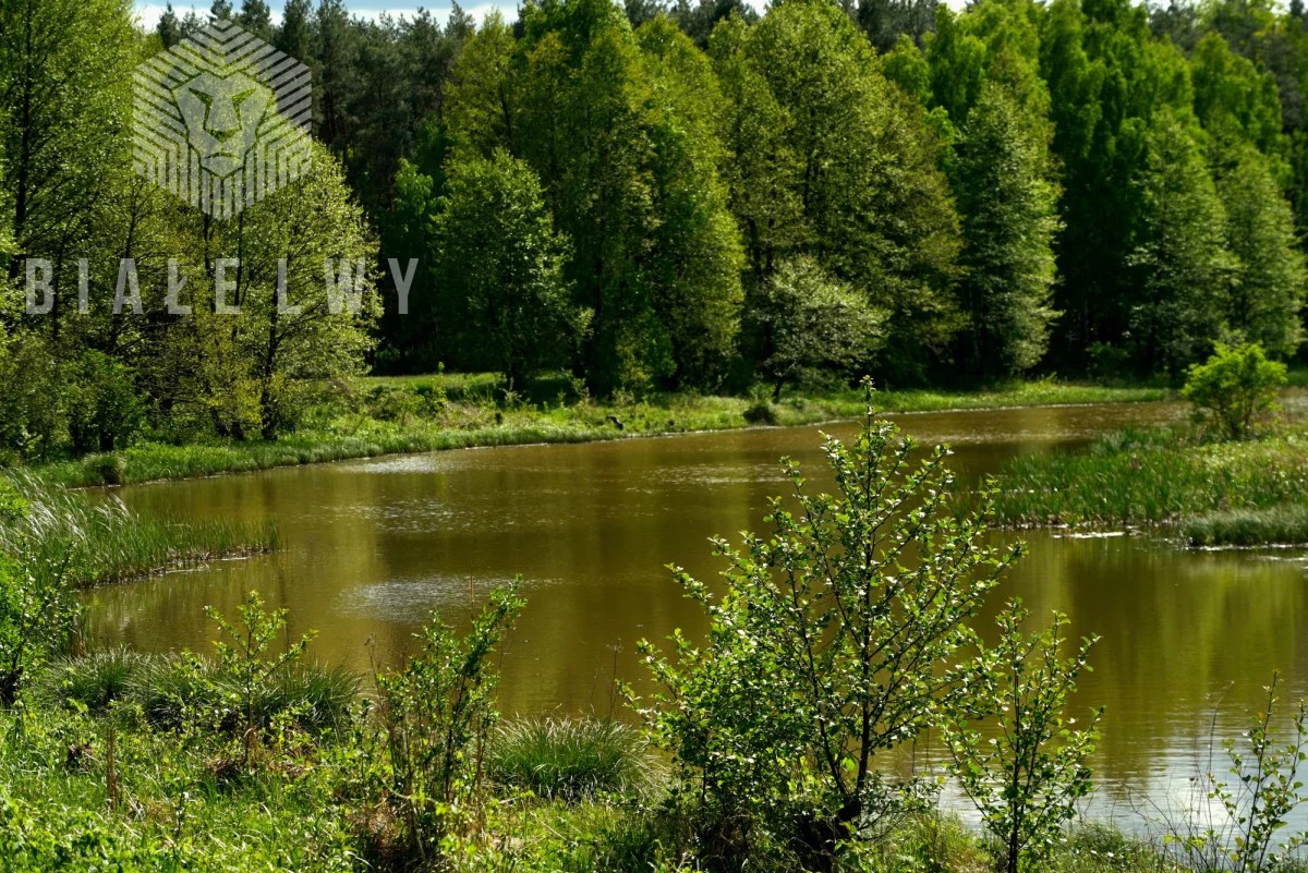 Działka 4 400,00 m², oferta nr , BLN659767, Nowe Borsuki