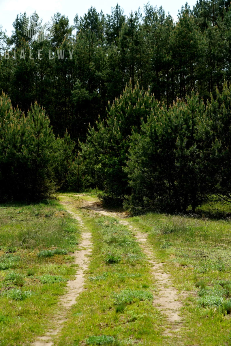 Działka 4 400,00 m², oferta nr , BLN659767, Nowe Borsuki
