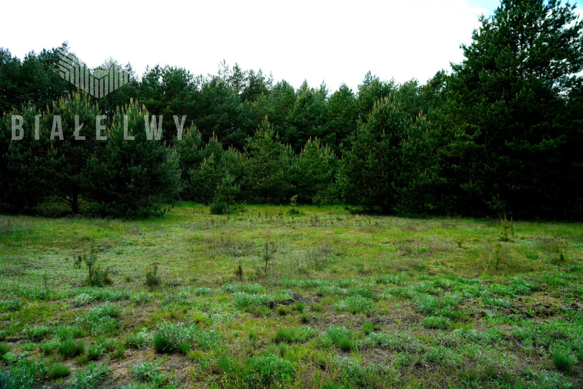 Działka 4 400,00 m², oferta nr , BLN659767, Nowe Borsuki