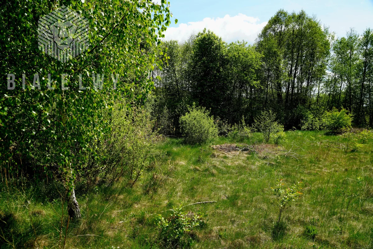 Działka 4 400,00 m², oferta nr , BLN659767, Nowe Borsuki