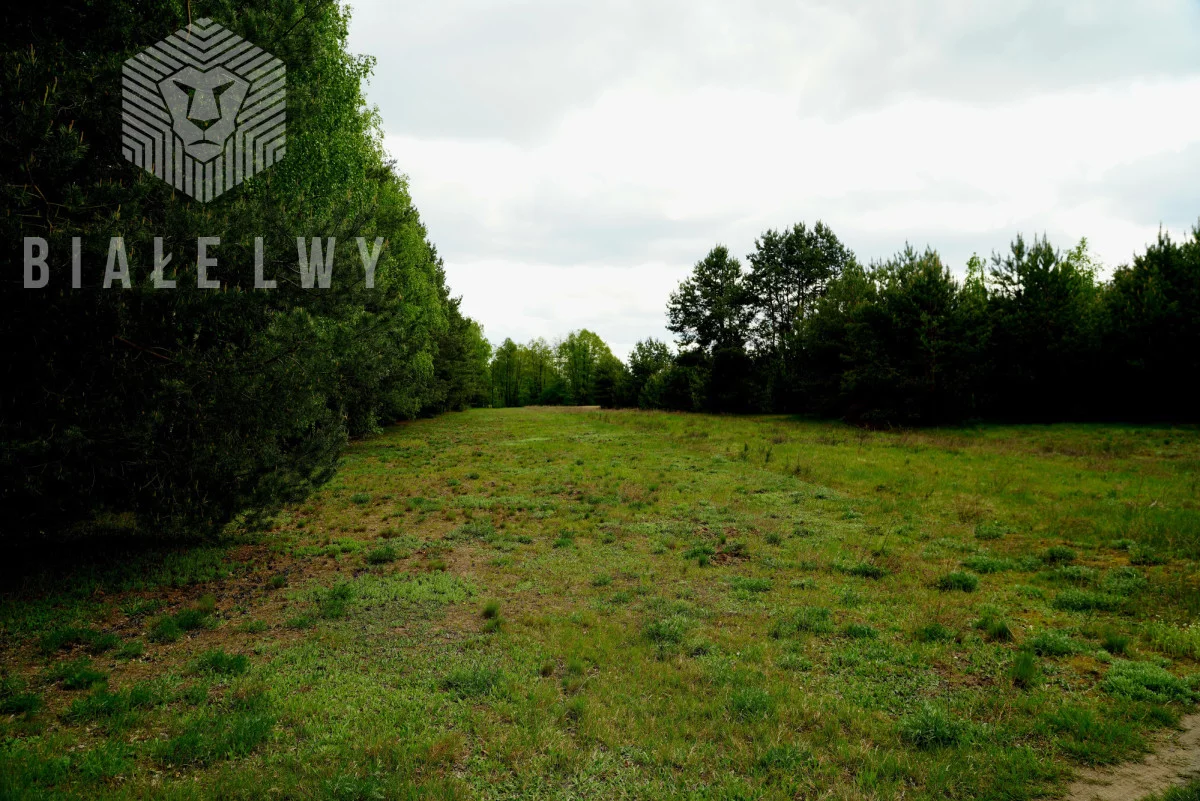 Apartamenty BLN800328 Nowe Borsuki