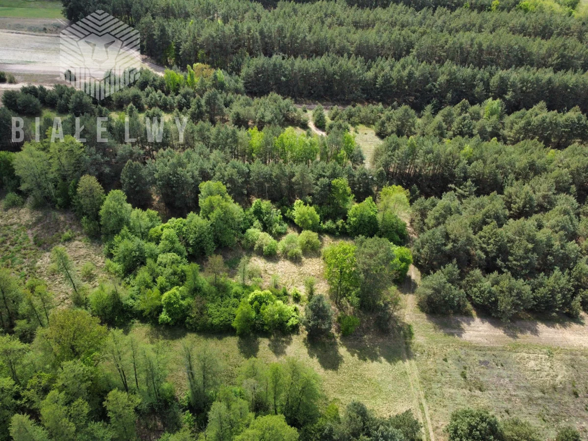 Działka 3 019,00 m², oferta nr , BLN800328, Nowe Borsuki