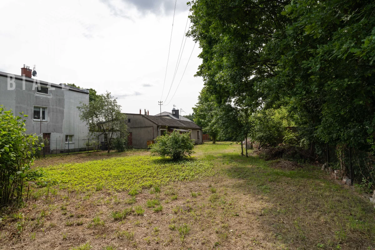 BLN171428 - zdjęcie nr 4