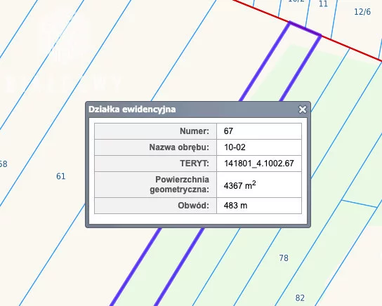 BLN614387 - zdjęcie nr 3