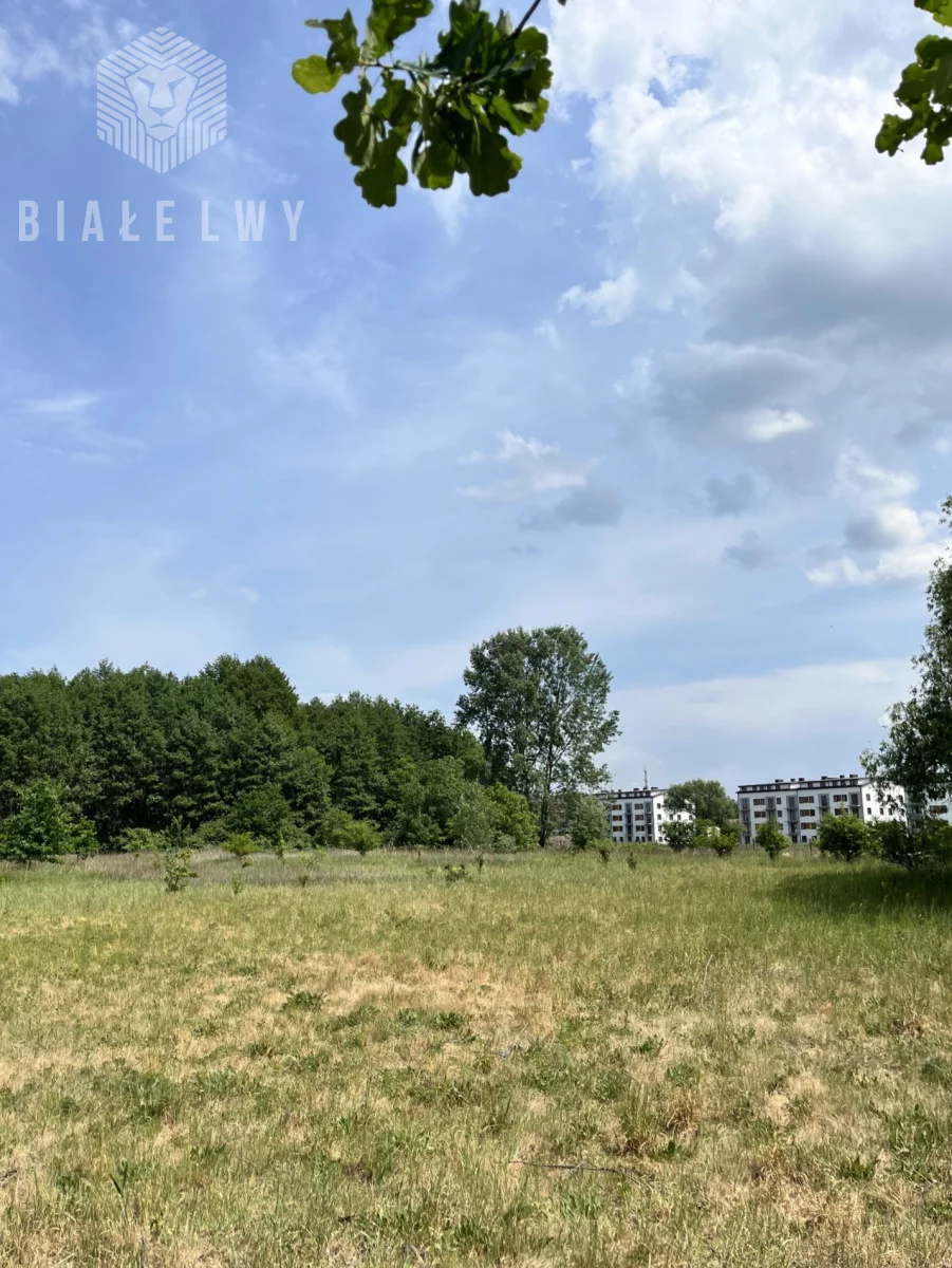 BLN372511 - zdjęcie nr 3
