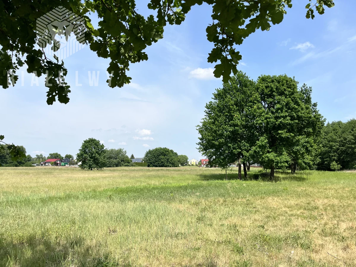 BLN372511 - zdjęcie nr 4
