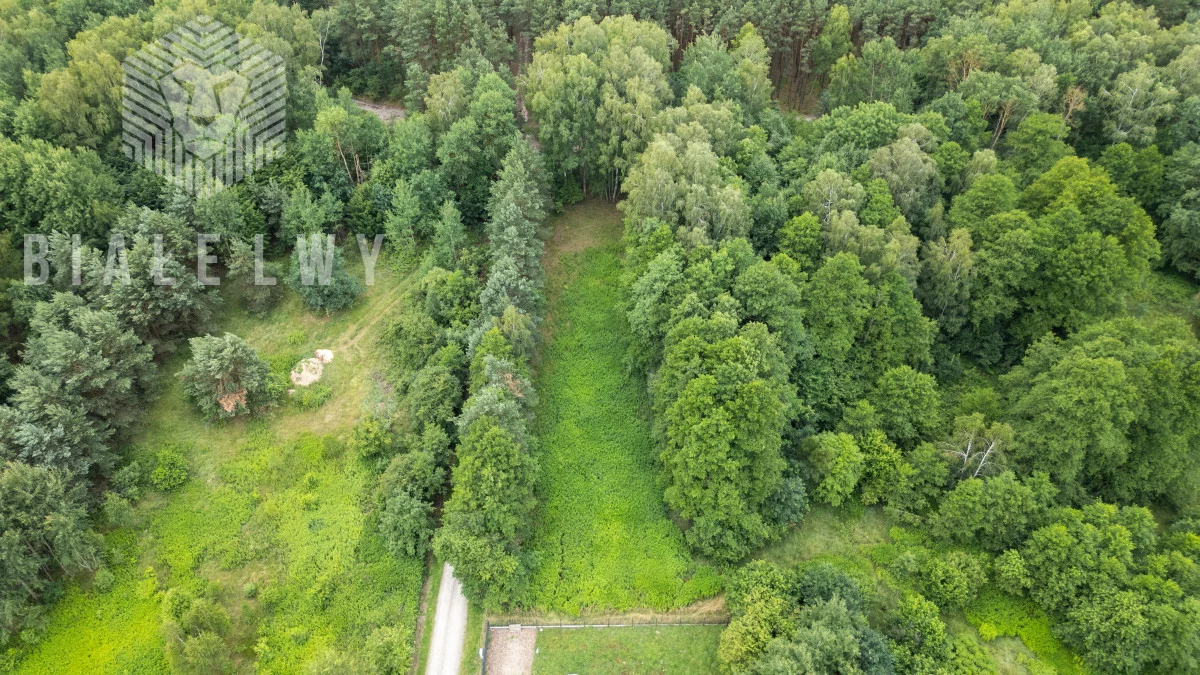 BLN664464 - zdjęcie nr 4