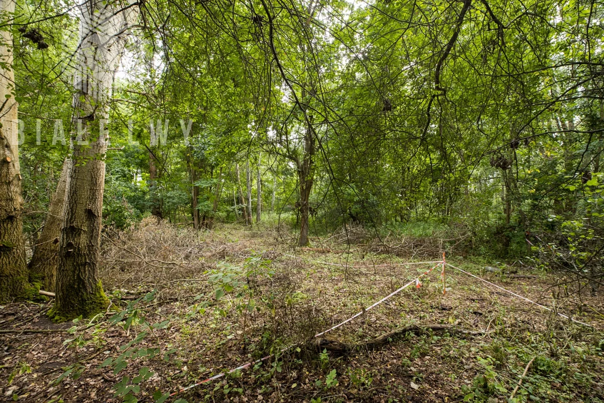 Działka 1 195,00 m², oferta nr , BLN521463, Wilcza Góra, Polna