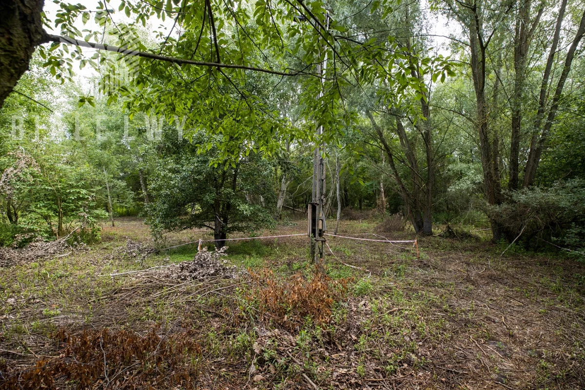 Działka 1 195,00 m², oferta nr , BLN521463, Wilcza Góra, Polna
