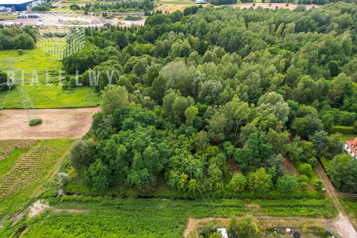 Działka 1 195,00 m², oferta nr , BLN521463, Wilcza Góra, Polna
