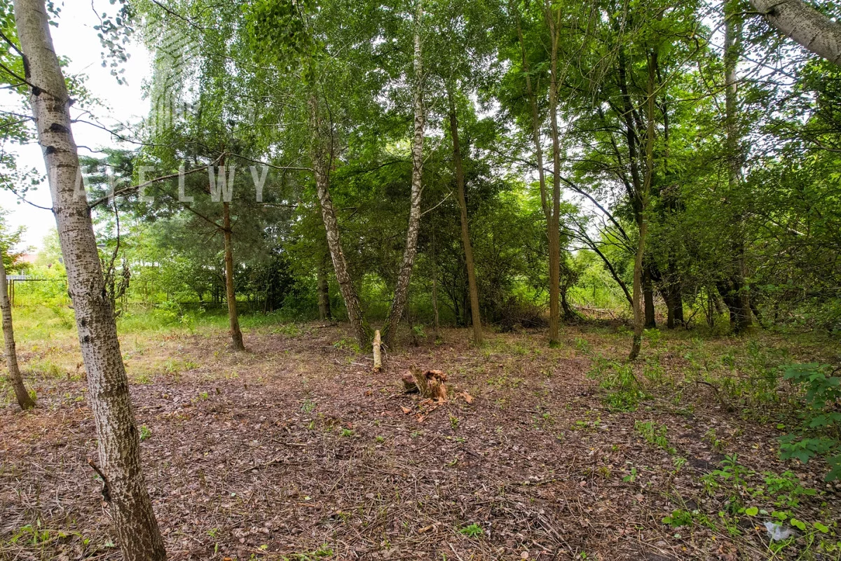 Działka 1 195,00 m², oferta nr , BLN521463, Wilcza Góra, Polna