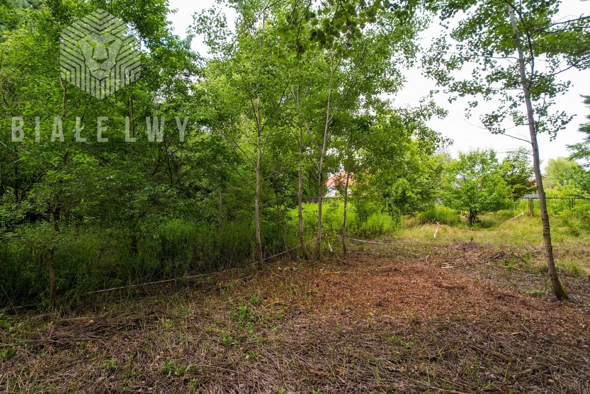Działka 3 585,00 m², oferta nr , BLN876626, Wilcza Góra, Polna