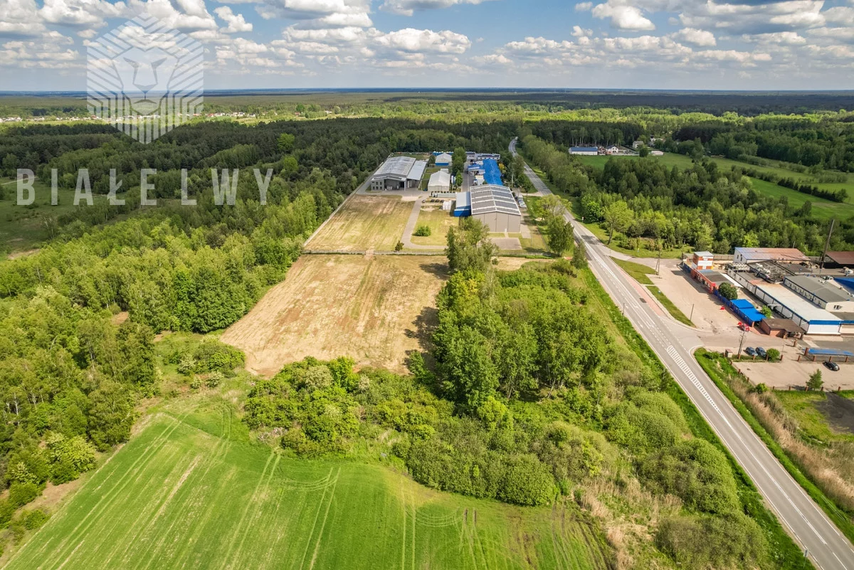 BLN553073 - zdjęcie nr 1