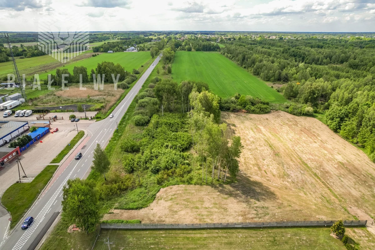 BLN553073 - zdjęcie nr 2
