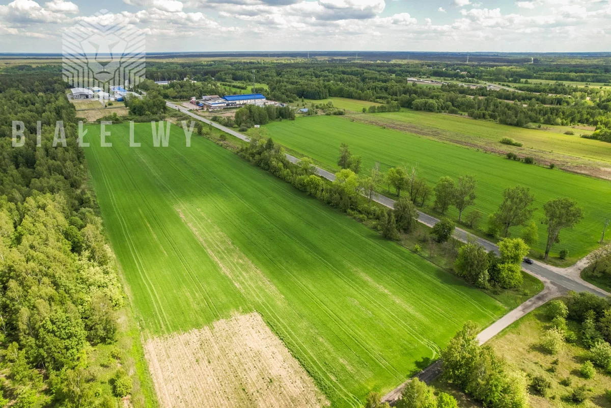 BLN553073 - zdjęcie nr 4