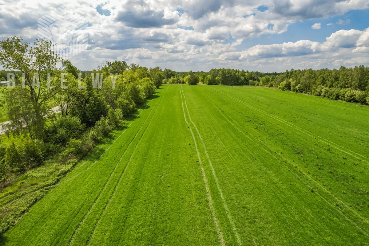 Działka 18 678,00 m², oferta nr , BLN553073, Stanisławów, Północna