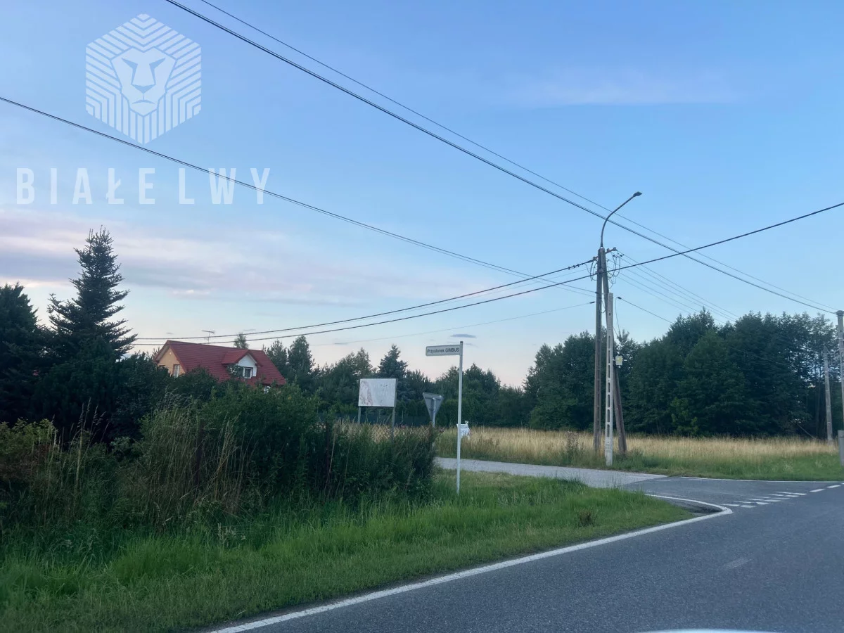 BLN481252 - zdjęcie nr 3