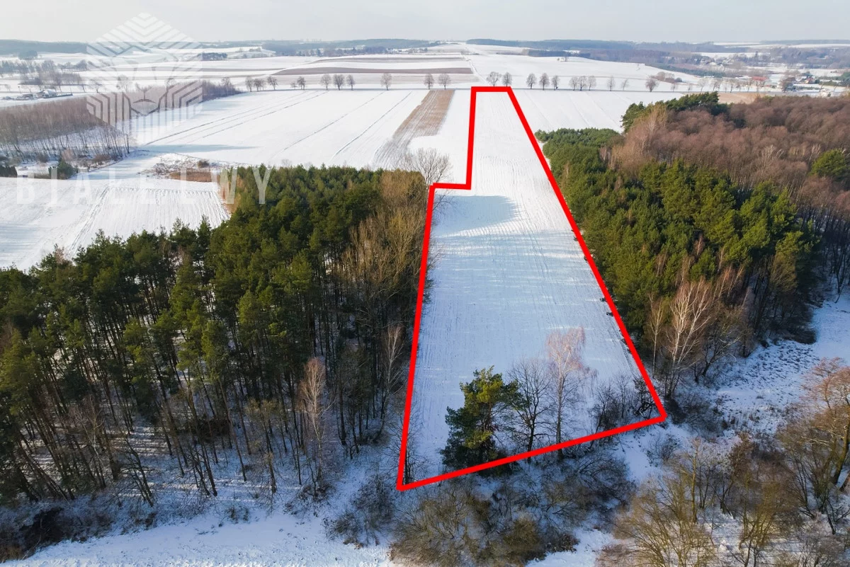 Działka 21 333,00 m², Rawa Mazowiecka, Sprzedaż