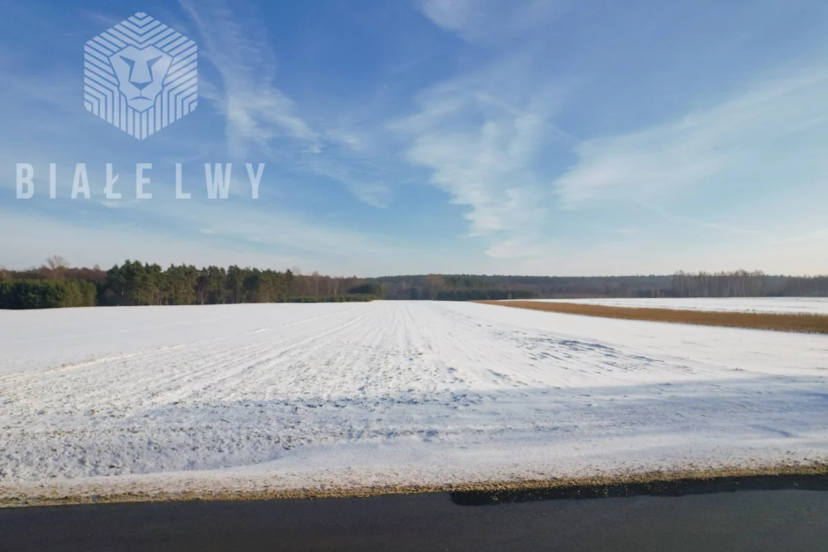 Działka 21 333,00 m², oferta nr , BLN227272, Rawa Mazowiecka