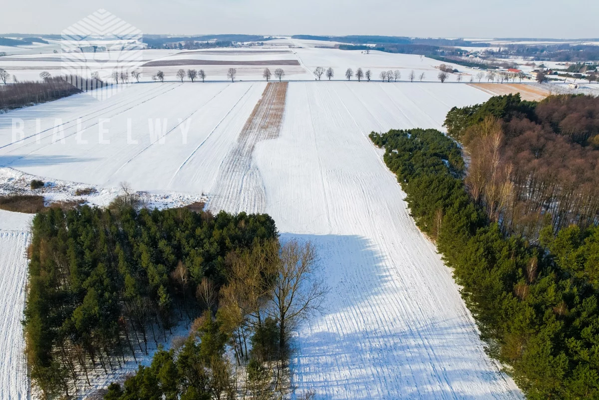 Działka 21 333,00 m², oferta nr , BLN227272, Rawa Mazowiecka