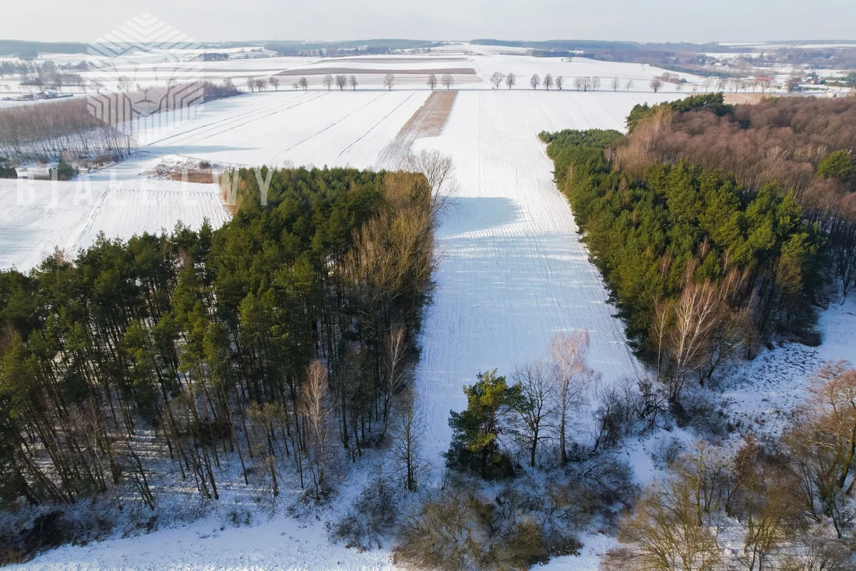 Działka 21 333,00 m², oferta nr , BLN227272, Rawa Mazowiecka