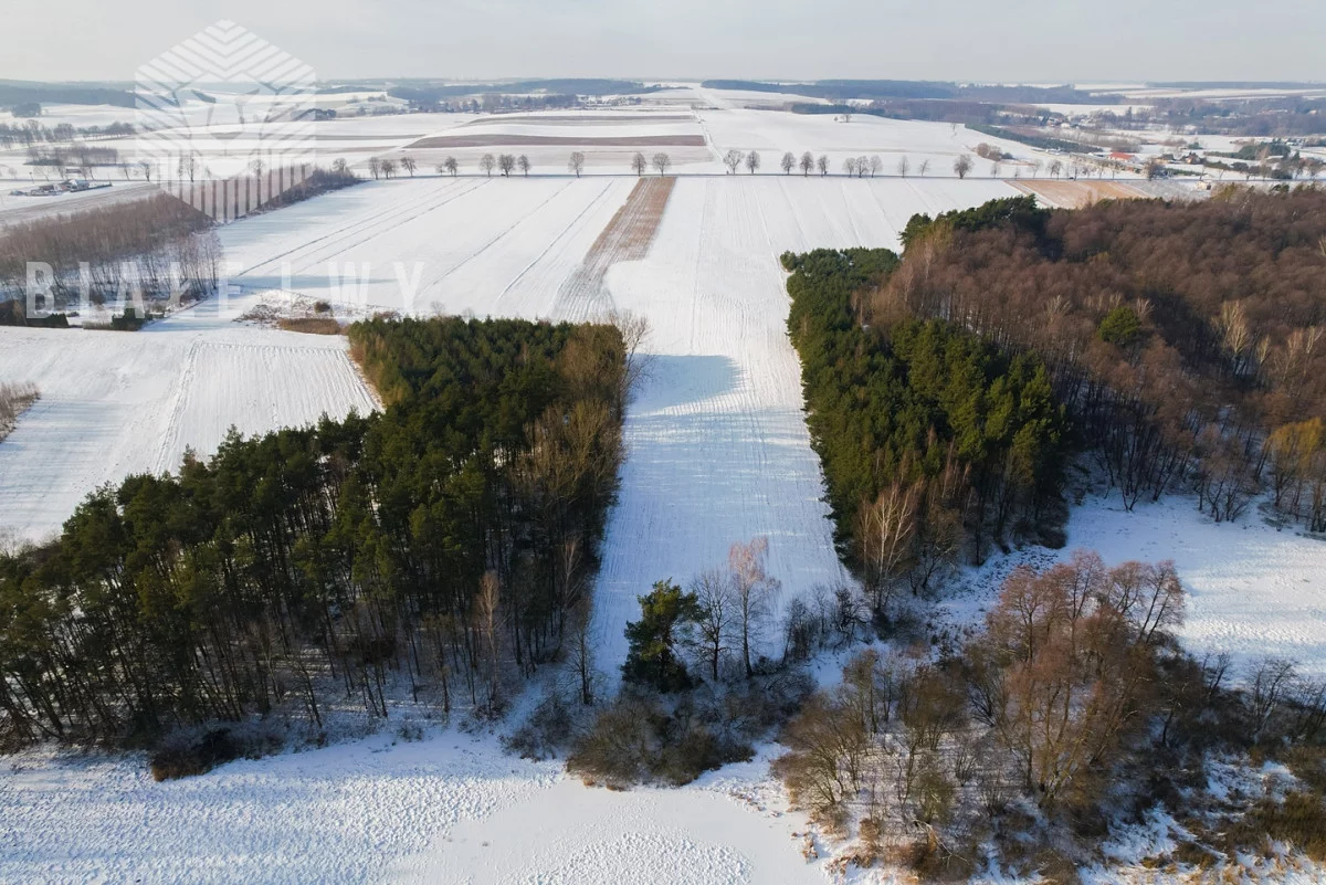 Działka 21 333,00 m², oferta nr , BLN227272, Rawa Mazowiecka