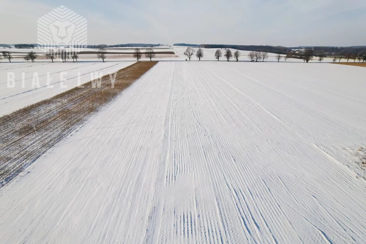Działka 21 333,00 m², oferta nr , BLN227272, Rawa Mazowiecka