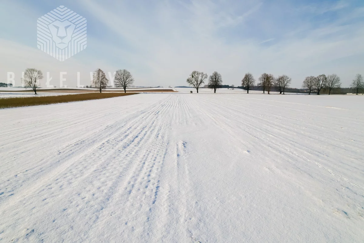 Działka 21 333,00 m², oferta nr , BLN227272, Rawa Mazowiecka