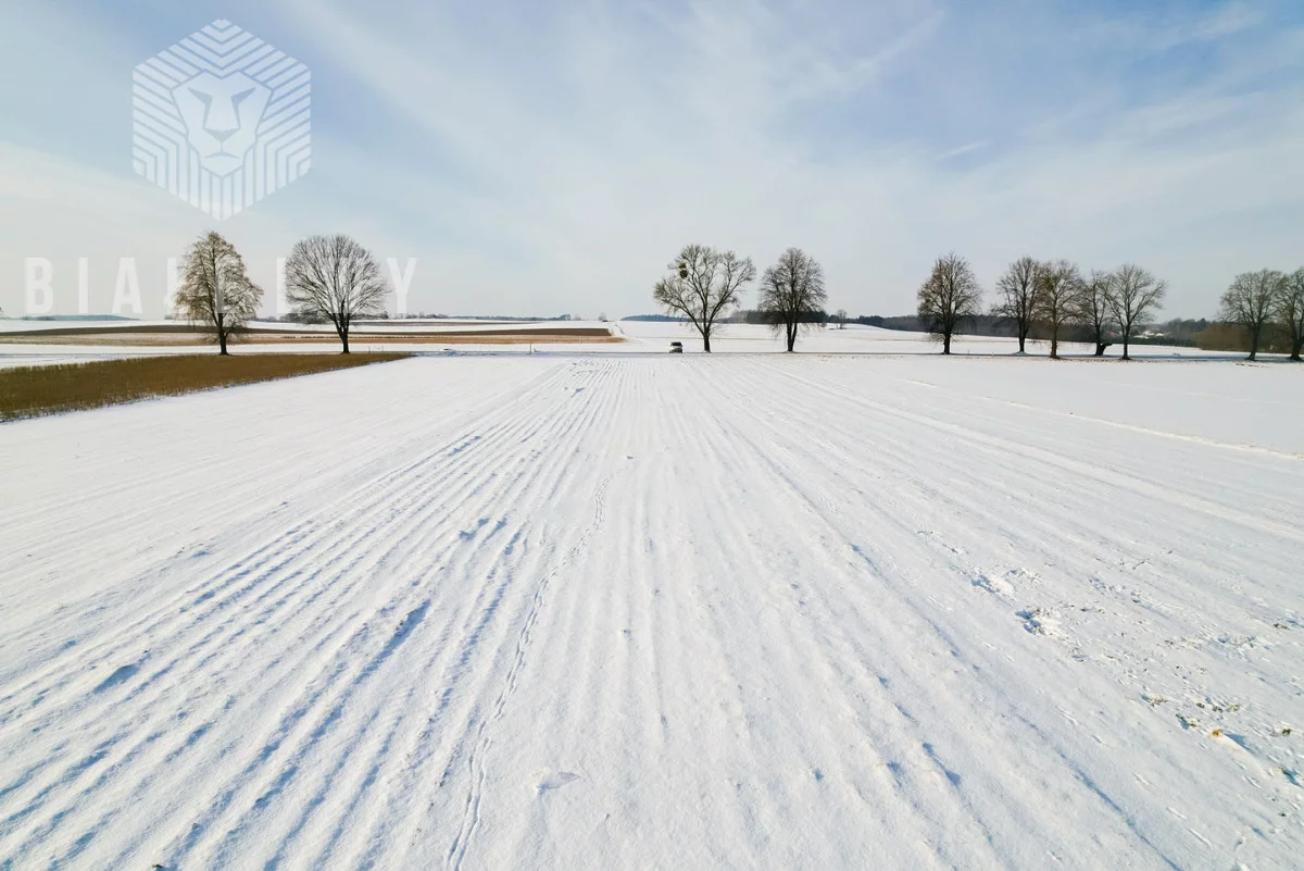 Działka 21 333,00 m², oferta nr , BLN227272, Rawa Mazowiecka