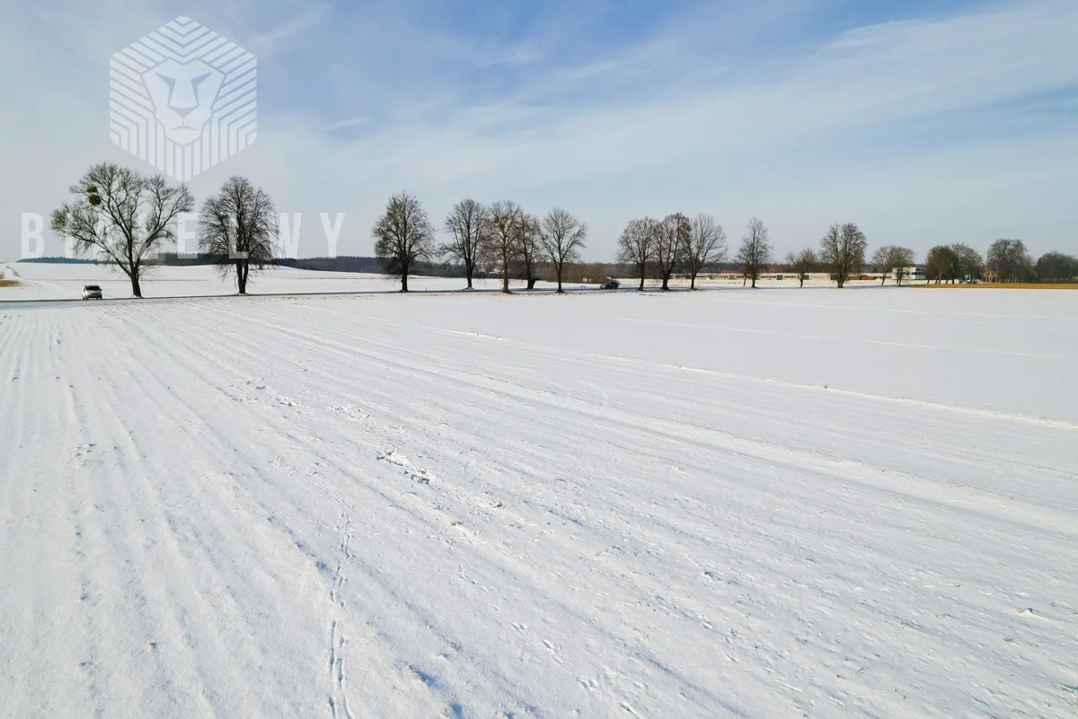 Działka 21 333,00 m², oferta nr , BLN227272, Rawa Mazowiecka