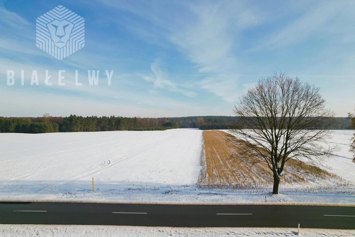 Działka 21 333,00 m², oferta nr , BLN227272, Rawa Mazowiecka