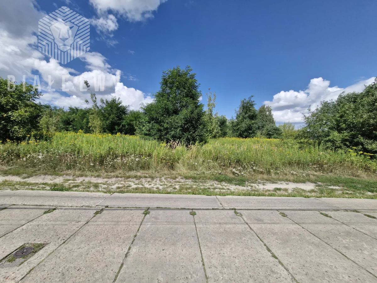 BLN239881 - zdjęcie nr 0