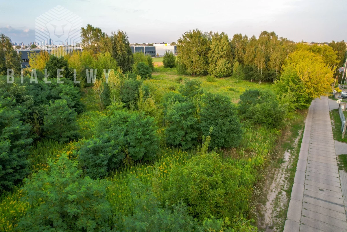 BLN239881 - zdjęcie nr 3