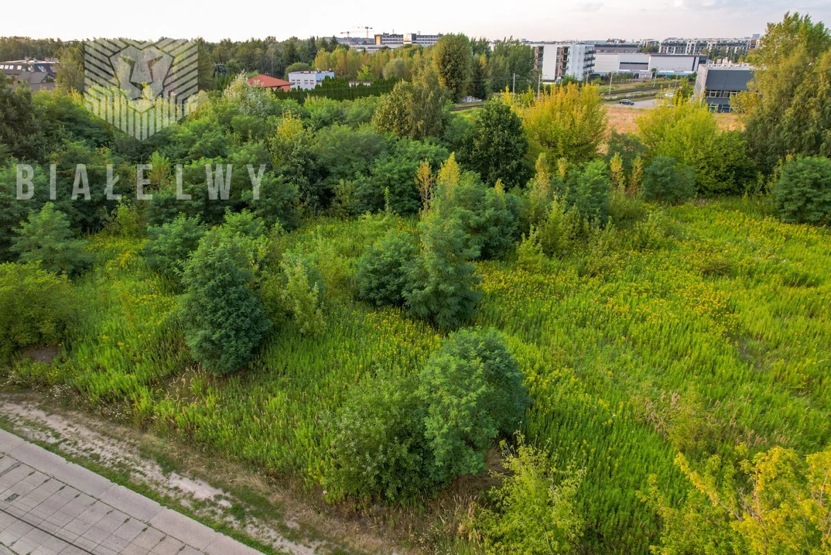 BLN239881 - zdjęcie nr 4