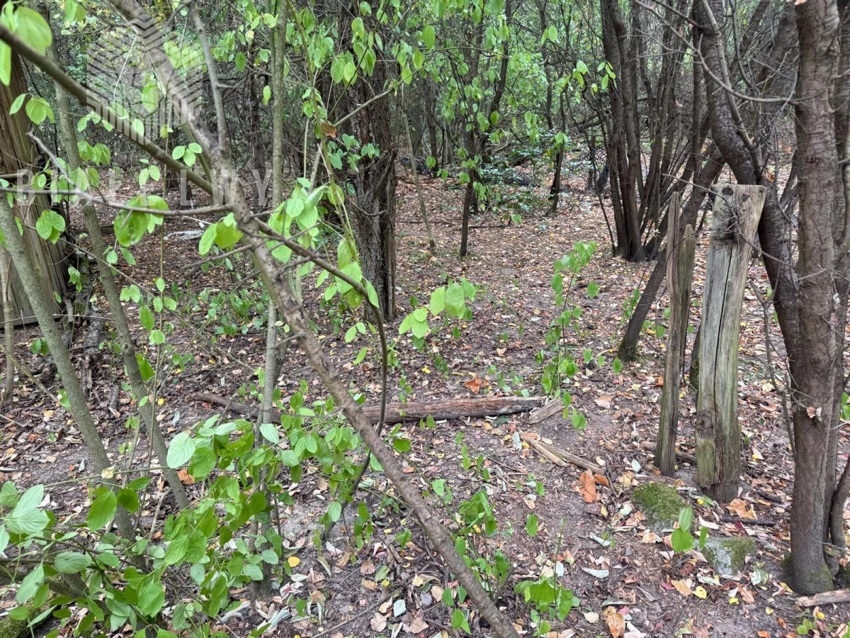 Działka 417,00 m², oferta nr , BLN548552, Suchy Las