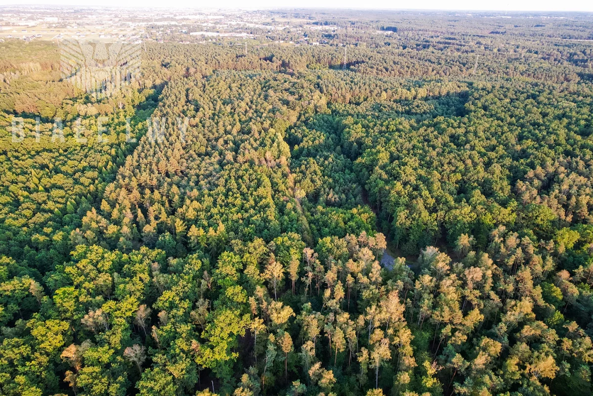 Działka 417,00 m², oferta nr , BLN548552, Suchy Las