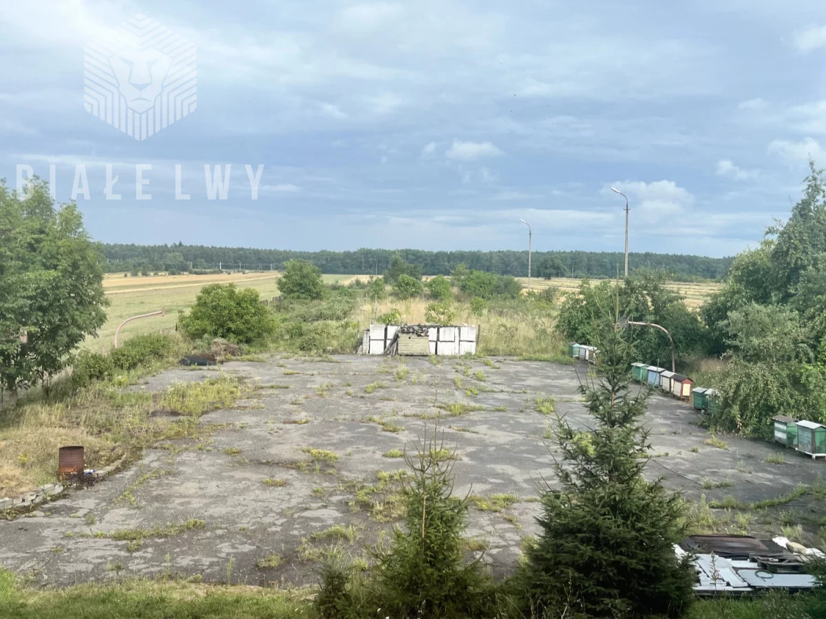 Obiekt 1 000,00 m², oferta nr , BLN116377, Przesiadłów