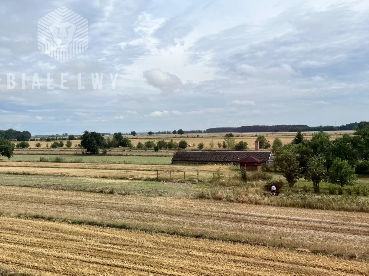 Obiekt 1 000,00 m², oferta nr , BLN116377, Przesiadłów