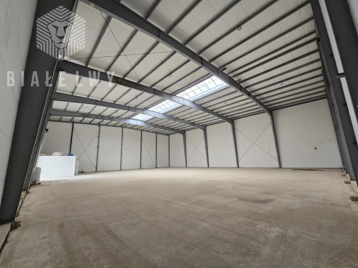 Magazyn 914,00 m², oferta nr , BLN812148, Goszczyn, Kozietulska