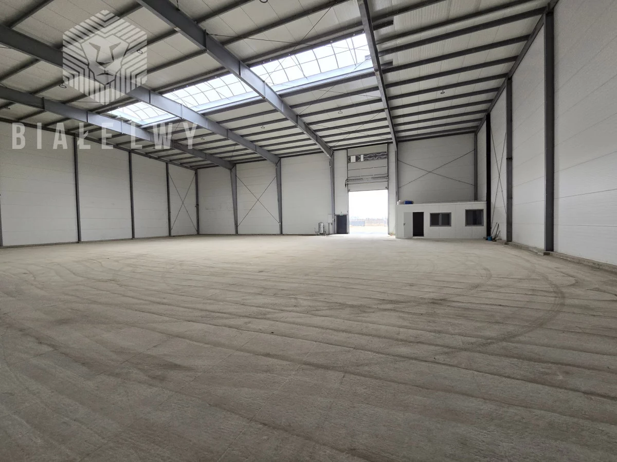 Magazyn 914,00 m², oferta nr , BLN812148, Goszczyn, Kozietulska