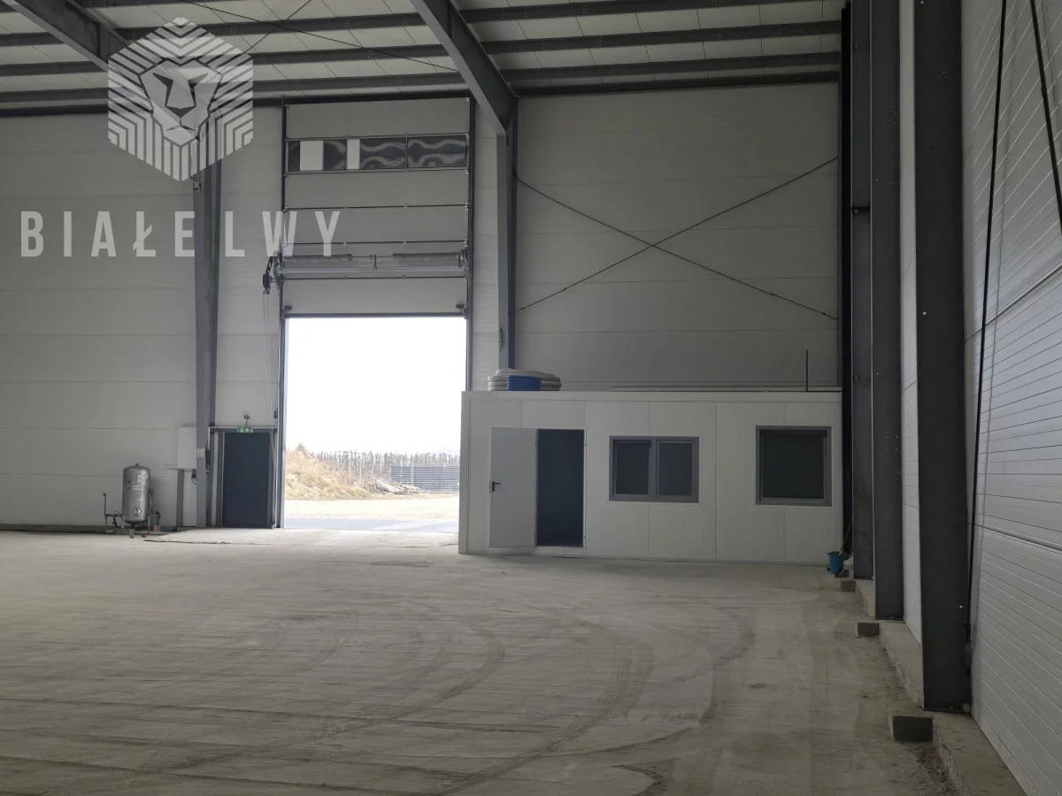 Magazyn 914,00 m², oferta nr , BLN812148, Goszczyn, Kozietulska