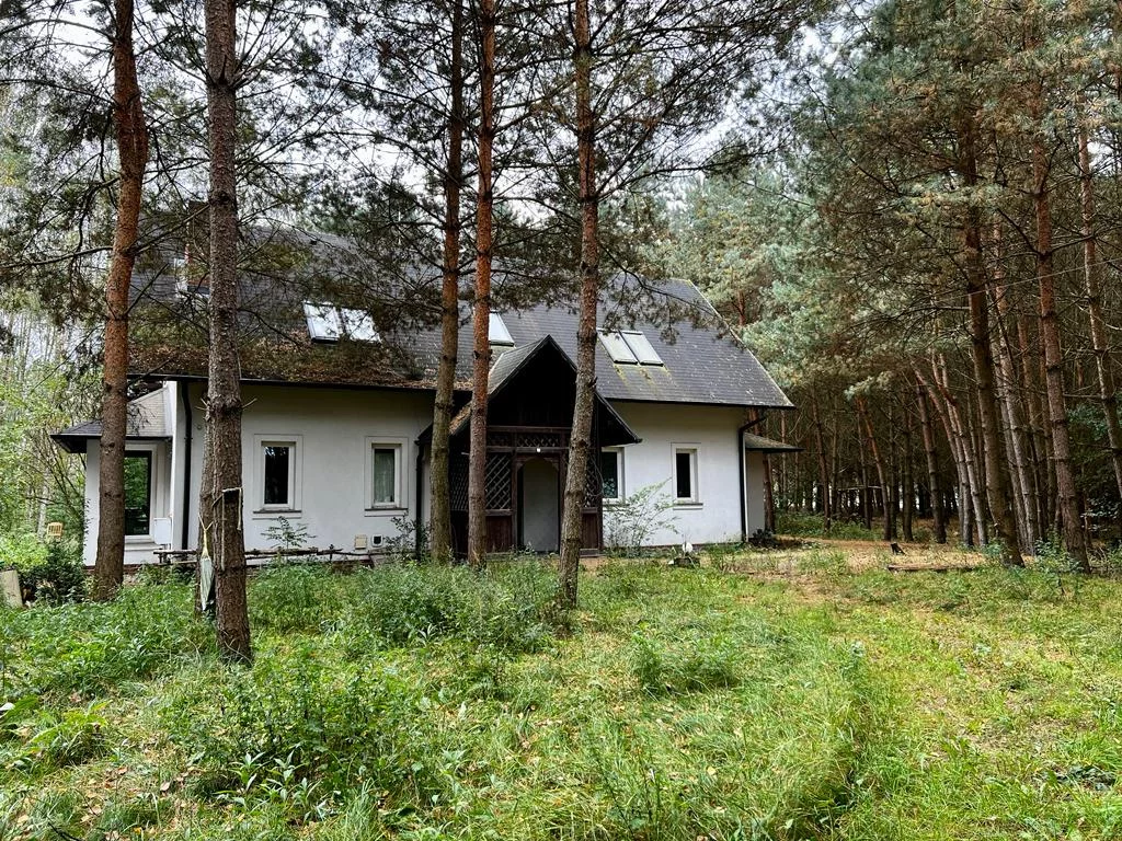 Uroczysko z lasem sosnowym w Białym Błocie 50 km od Wro